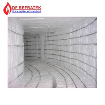 Ceramic Fiber Module